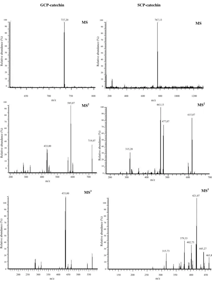 Fig. 21 - Mass spectra and respective MS 2  (of the molecular ion) and MS 3  (of the main fragment in MS 2 ) fragmentations  for GCP-catechin and SCP-catechin adducts