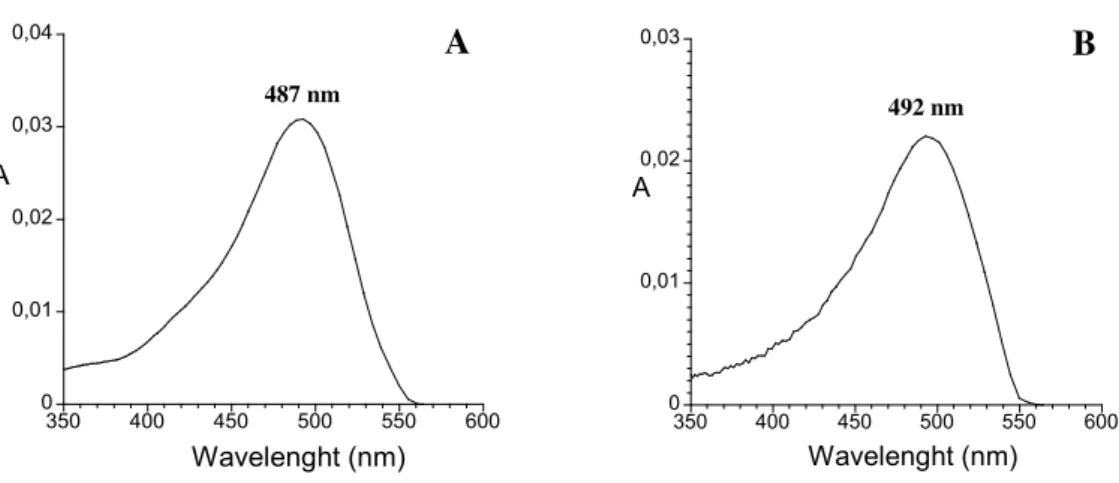 Fig. 25 - Visible spectra of 3-deoxypeonidin (A) and 3-deoxymalvidin (B) determined directly by HPLC-DAD (pH≈2)