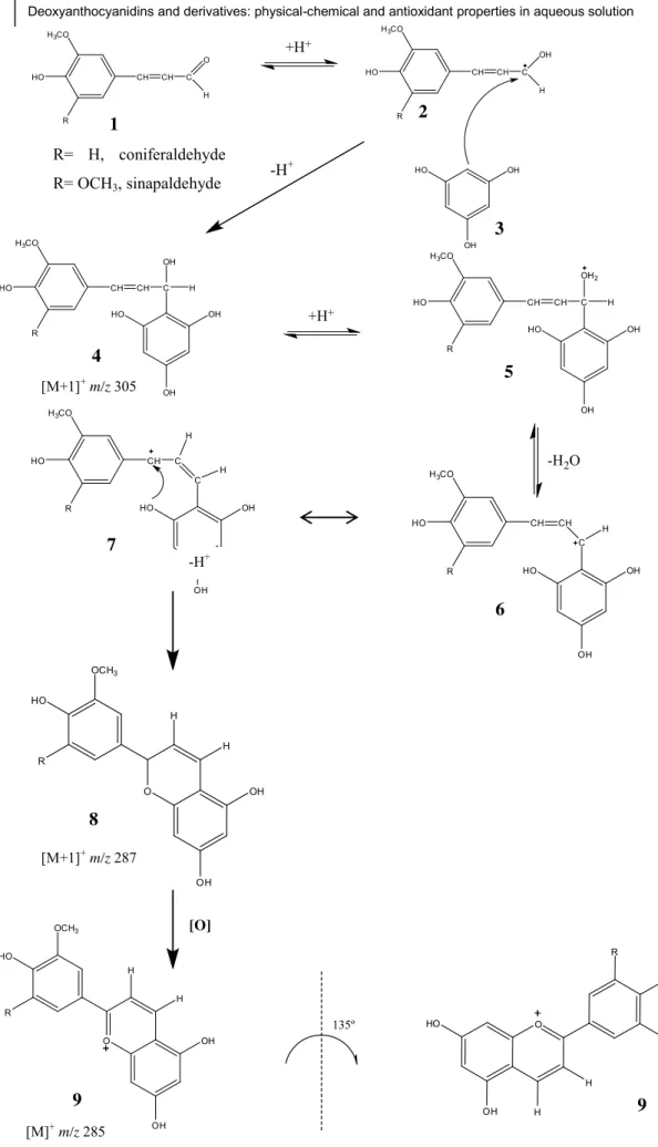 Fig.  27  -  Mechanism  proposed  for  the  formation  of  3-deoxypeonidin  and  3-deoxymalvidin 9  obtained  from the  reaction  between phloroglucinol 3 and cinnamic aldehydes 1