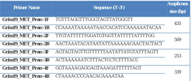 Table VI- Primers sequences for methylated DNA, their correspondent product size. 