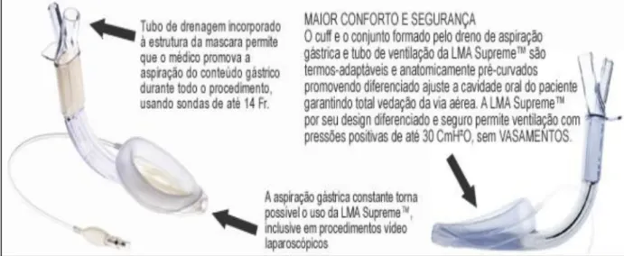 Figura nº 10: descrição da ML suprime ( adaptado de http://www.nalean.com.br//lma.htm) 