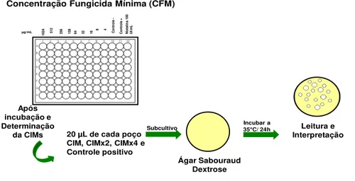 Figura 2: Determinação da concentração fungicida mínima (CFM) - Ellof (1998)  