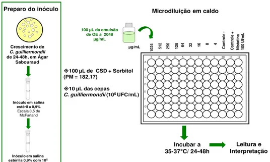 Figura 5: Investigação do mecanismo de ação antifúngico  – método do sorbitol 