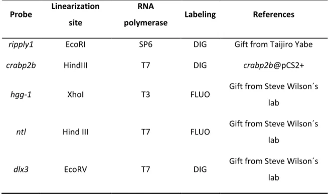 Table 2. Dilution of RNA probes. 