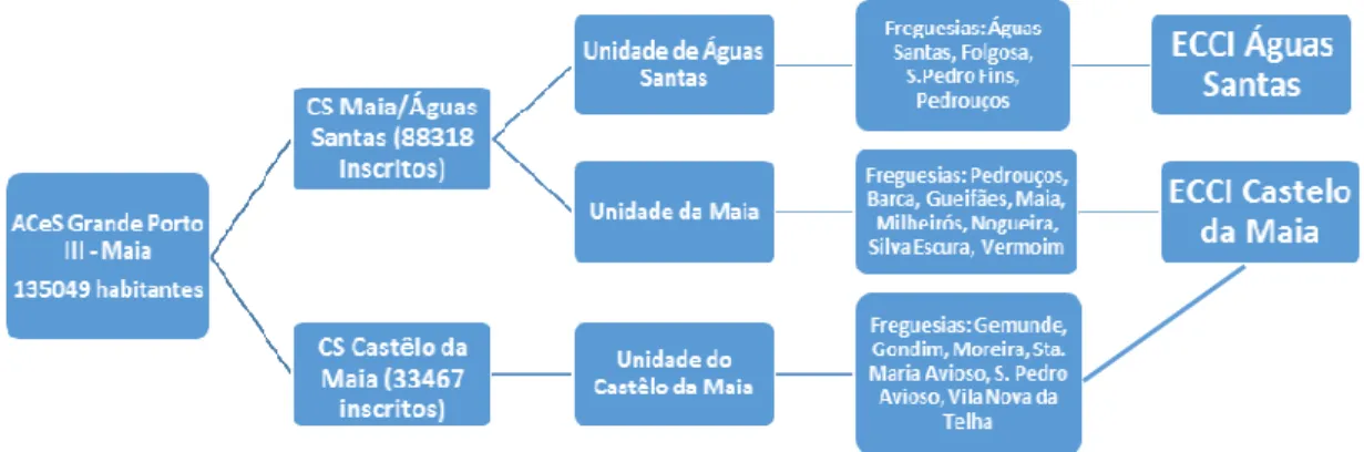 FIGURA 3: Organização dos cuidados de saúde primários no concelho da Maia 