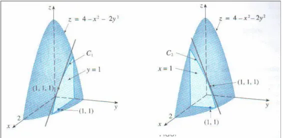 Figura 10. Planos verticais e retas tangentes. 