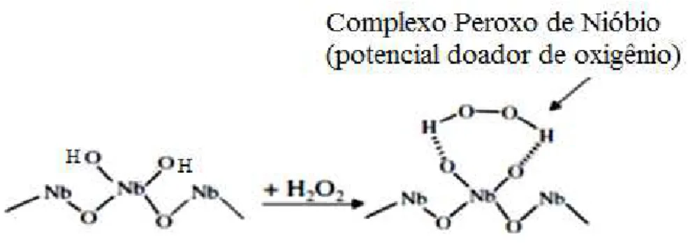 Figura 9  – Esquema da geração do complexo peroxo de nióbio na superfície do oxihidróxido de nióbio 