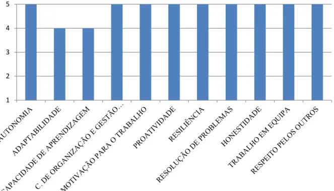 Gráfico 4.1 – Grau ideal das competências comportamentais para as três funções 