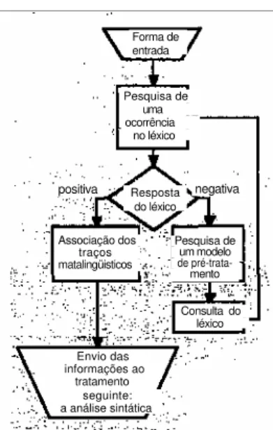 Figura 6 - Pré-tratamento  morfossintático.