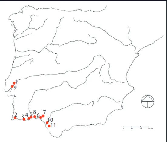 Fig. 7.  Diffusion of the Castro Marim 1 amphorae on the Iberian Peninsula (see also Fig