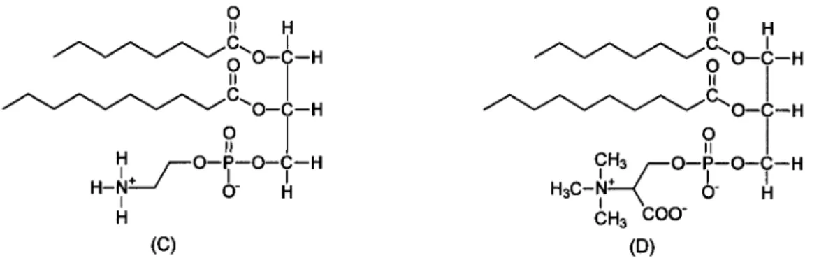 Figura  3:  Exemplos  de  um  ácido  fosfatídico  (fosfato  de  diacilglicerina) (A), e  seus derivados  Lecitina  (B),  Cefalina (C) e Serina (D)