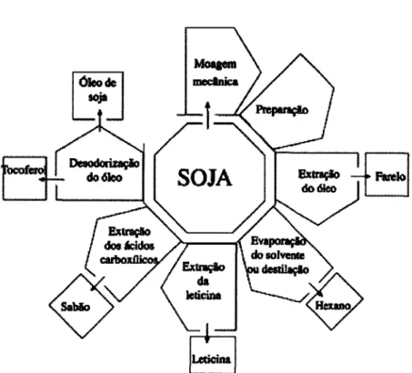 Figura  4:  Estágios do  processo  químico  industrial  de extracção  do óleo  de  soja (Williams,  1997)