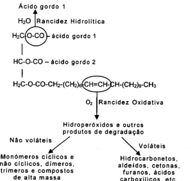 Figura  5: Tipos de rancidez  em óleos  ou gorduras  usados  em  frituras (Plank  e  Lorbeer,  1994)