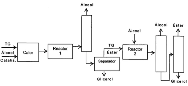 Figura  12:  Sistema  Plug  Flow