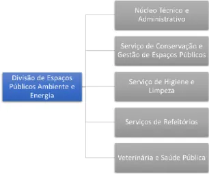 Figura nº4 – Serviços da Divisão de Espaços Públicos Ambiente e Energia 