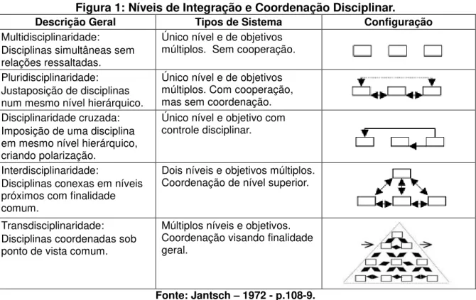 Figura 1: Níveis de Integração e Coordenação Disciplinar. 