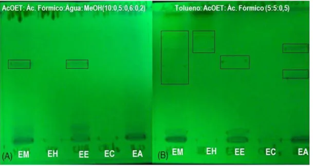 Figura  10:  CCD  dos  extratos  obtidos  das  folhas  da  espécie  Plukenetia  volubilis