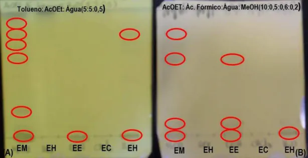 Figura  12:  CCD  dos  extratos  obtidos  das  folhas  da  espécie  Plukenetia  volubilis