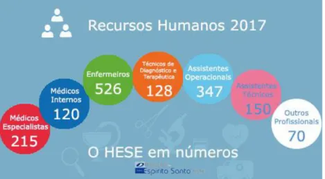 Figura 1 - Recursos Humanos do HESE, E.P.E. em 2017 