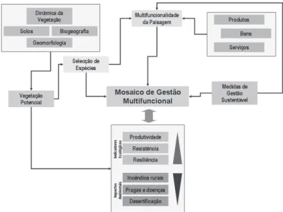 Figura 2. Mosaico de gestão multifuncional do território (Guiomar &amp; Fernandes, 2007)