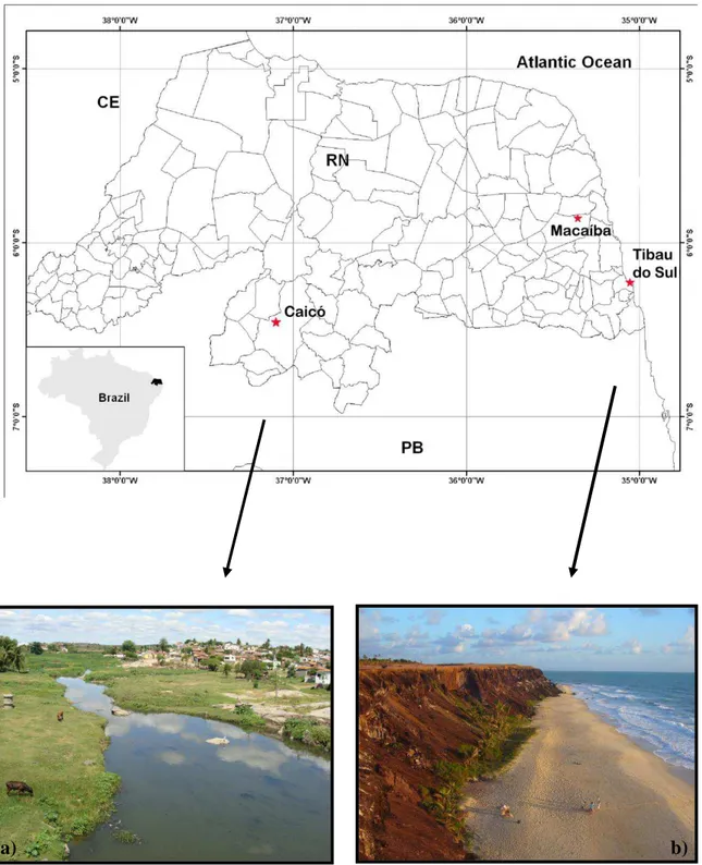 Figura  2-  Mapa  do  Brasil  com  destaque  para  o  estado  do  Rio  Grande  do  Norte