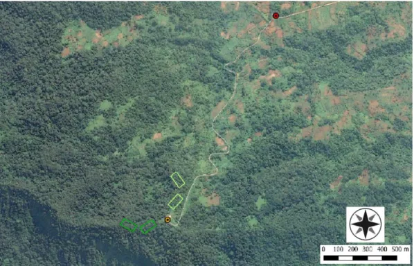 FIGURE 2.2 – Location of sampling plots, at Macambrará. The four 0.5 ha plots are coloured in green (dark green: old- old-growth forest; light green: secondary forest)