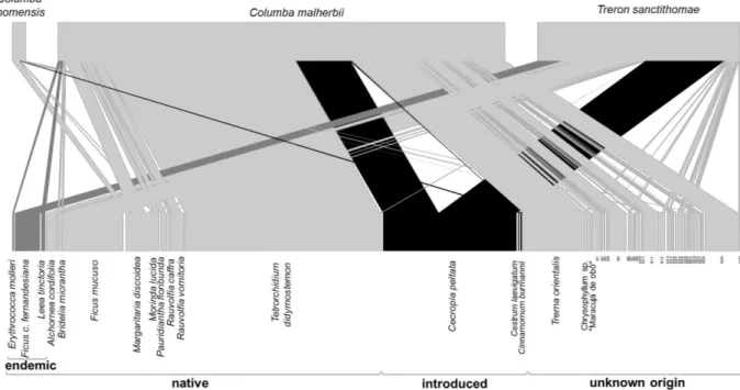 FIGURE 3.3 - Visualization of the São Tomé Island seed dispersal network of pigeons across the island