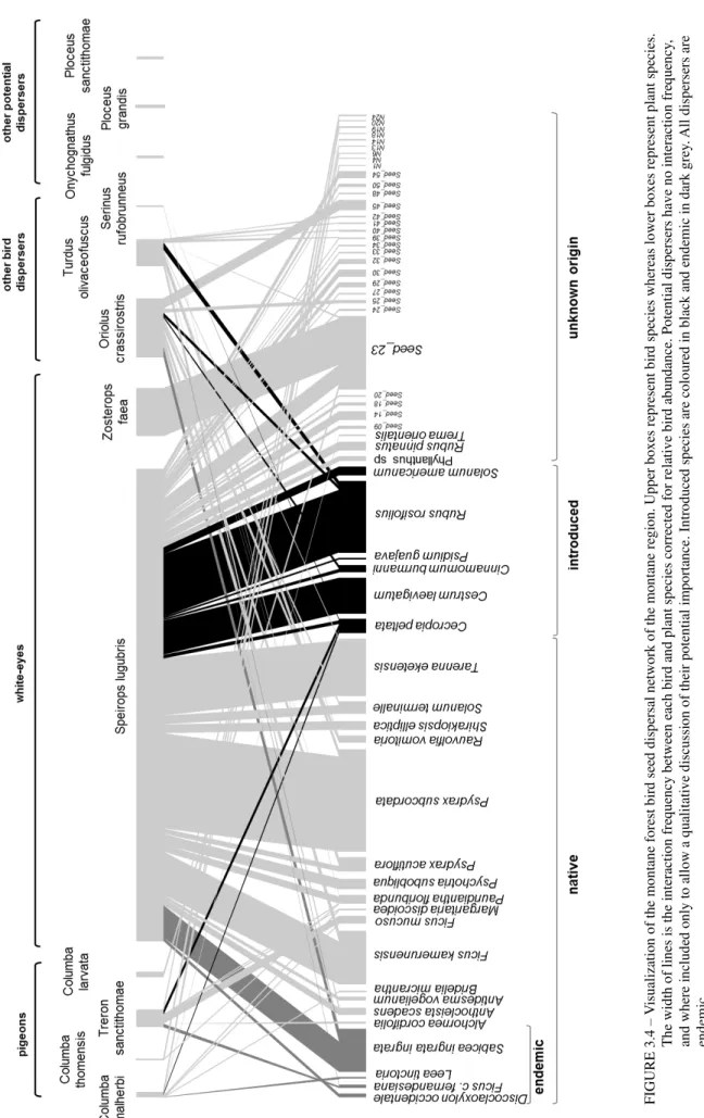 FIGURE 3.4 – Visualization of the montane forest bird seed dispersal network of the montane region