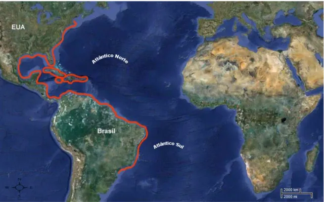 Figura 4. Mapa de distribuição geográfica de L. analis.  