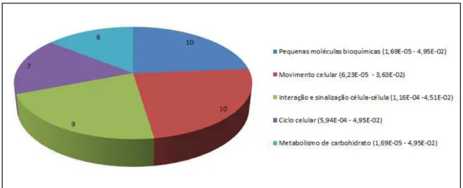 Figura 4: Classificação funcional dos genes diferencialmente expressos em CTMH/n senescentes 