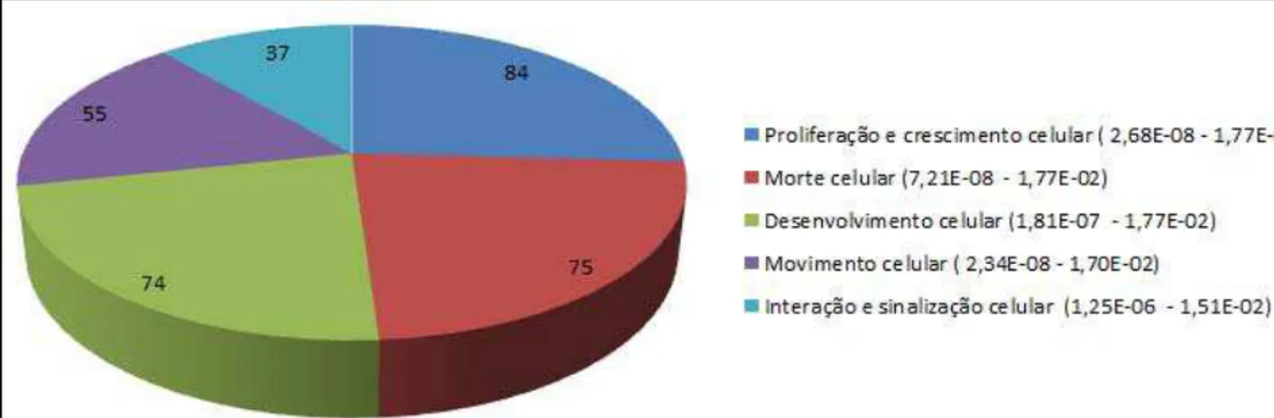 Figura  7:  Classificação  funcional  dos  genes  diferencialmente  expressos  em  CTMH/inv  senescentes 