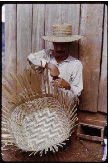 Figura 2 – Homem Kaingang fazendo cesto.