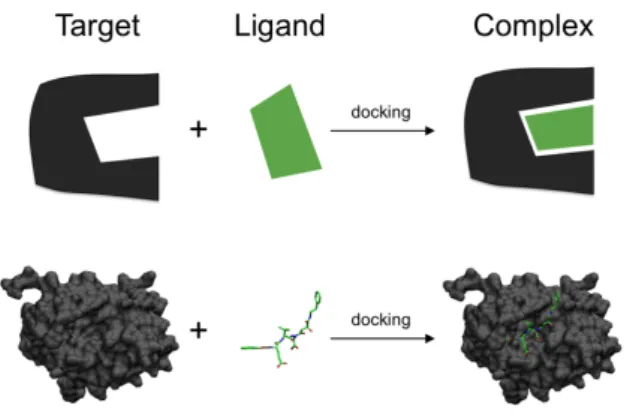 Figura 1.1: Representação gráfica de uma instância de docking [46].