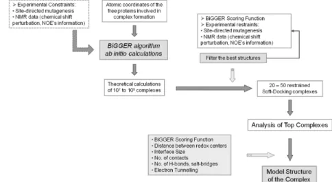 Figura 2.1: Diagrama sobre o processo de docking do BIGGER[4].