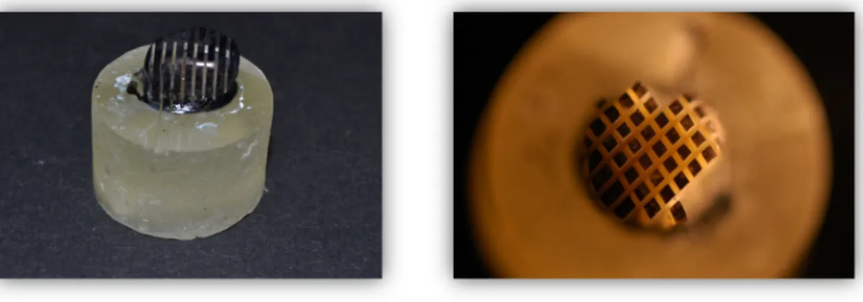Figure 16 and 17: Teeth after being sectioned in both ‘x’ and ‘y’ directions. 
