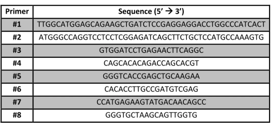 Table 1: Sequences of the primers used in the current work 