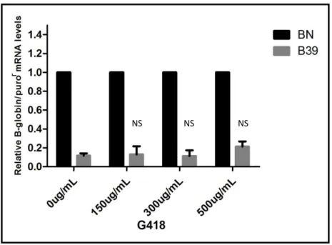 Figure  8:  RT-qPCR  analysis  performed  on  total  mRNA  isolated  from  HeLa  cells  containing  the  BN  and  B39  transcripts after treatment with G418 aminoglycoside - Relative beta globin mRNA levels are normalized to  the  expression  of  the  wild