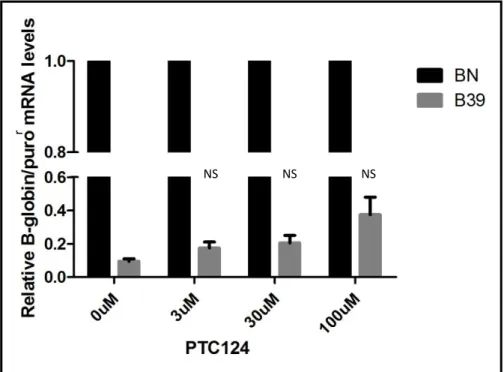 Figure  11:  RT-qPCR  analysis  performed  on  RNA  isolated  from  HeLa  cells  expressing  the  BN  and  B39  transcripts after treatment with PTC124 - Relative beta globin mRNA levels are normalized to the expression  of the  BN mRNA of each condition