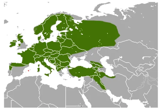 Figure 1 – Distribution of the pine marten (Martes martes) in Europe and Asia  Some topics of the pine marten’s ecology as diet (Nyholm 1970, Garzon et al