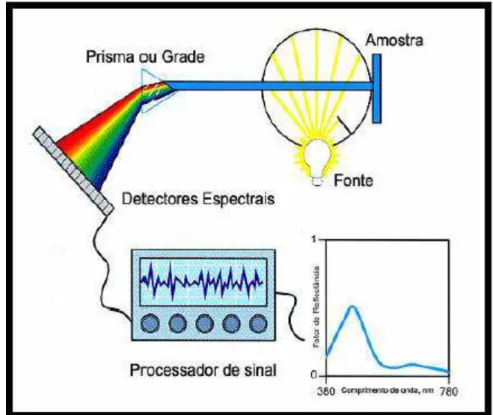 Fig. 2.1 Representação esquemática de medida de espectrofotometria (Anabela/2007) 