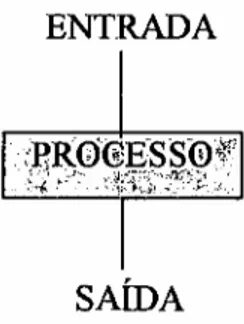 Figura 1- Diagrama de entrada e saída para um processo.