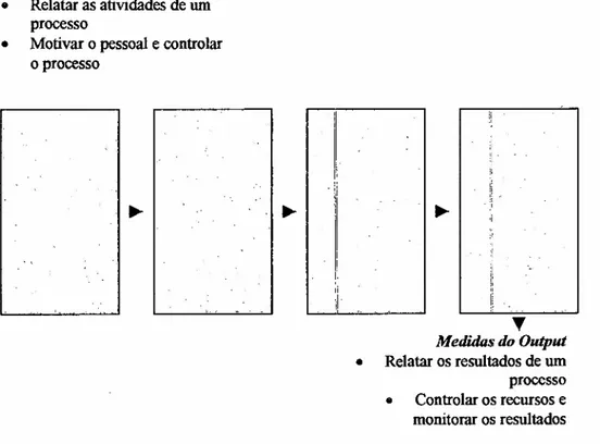 Figura 4 -Medidas de Desempenho do Processo e do Output