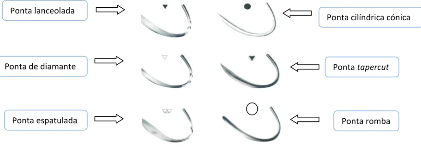 Figura 24: Tipos de Pontas de Agulhas