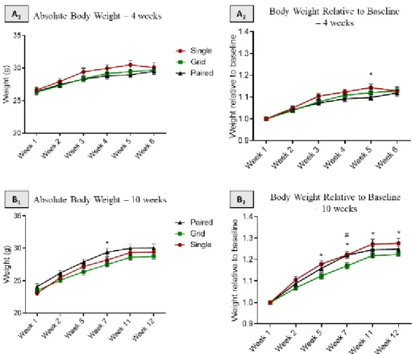 Figure 6  –  Body weight in single housed, paired housed and paired housed with  grid mice  A1) Absolute body weight of mice during the first short-term experiment