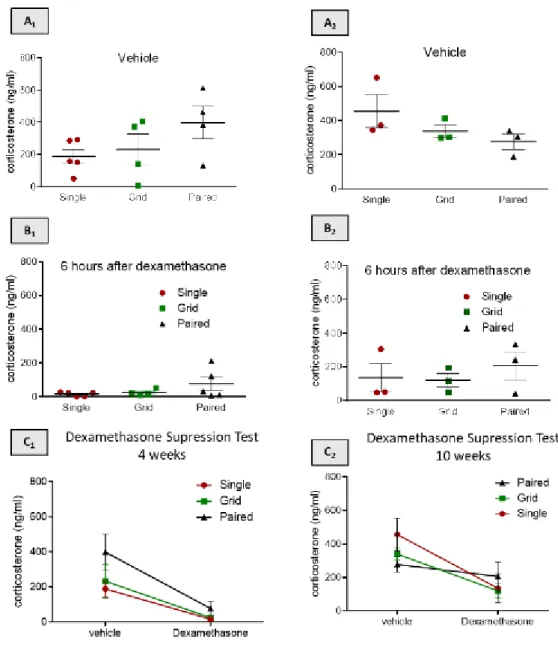 Figure 11 - Dexamethasone suppression test.  A 1 ) Plasma corticosterone levels in vehicle  injected or dexamethasone injected mice during the first short-term experiment