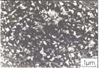 Figura 2.14 - Micrografia Eletrônica de Varredura do cimento após 3 h de hidratação (METHA e  MONTEIRO, 2001)
