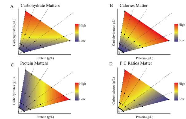 FIGURE  1.4  –  Example  of  how  to  measure  the  influence  of  two  nutrients,  protein  and  carbohydrates on life history traits using nutritional geometry framework