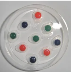 Figure 2.3 - Three-way Choice assay plate. Example of an assay plate used for female food preference  and oviposition site choice, three choice assay