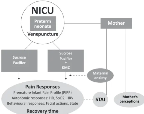 Figure 2. Study design. Note: KMC - Kangaroo mother care; STAI - Stait-Trait Anxiety   Inventory; NICU - Neonatal Intensive Care Unit.