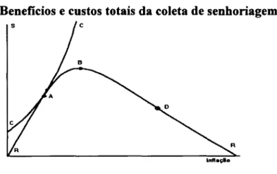Gráfico 11 